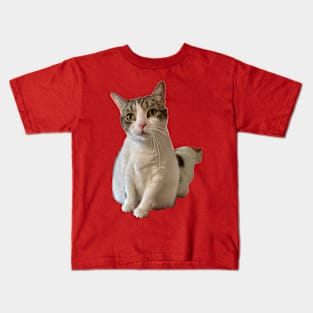 The Tabby Cat Kids T-Shirt